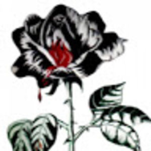 Meet your Posher, Luke